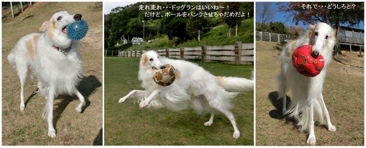 7歳・・・何か?Net 組写真