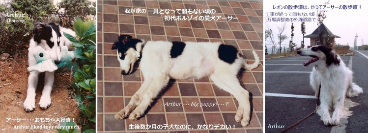 *アーサー 001 H750