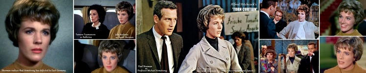 ※TORN CURTAIN Julie_Andrews_Paul Newman H700