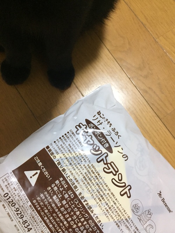 キャットテント