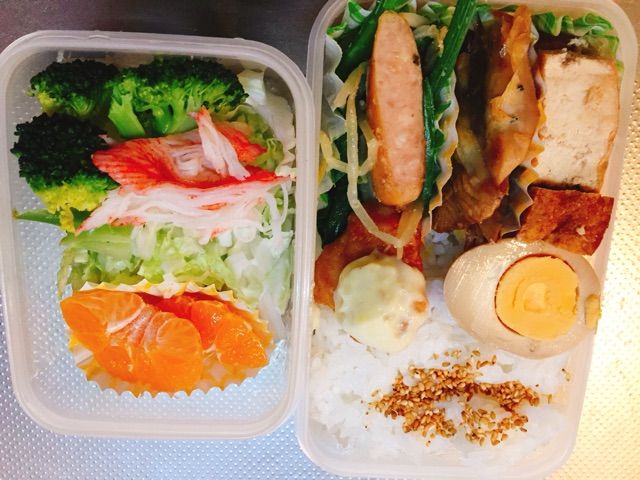 お弁当お弁当うれしいな っていう歌 ある 日々の出来事 ゴールデンレトリバーと暮らす