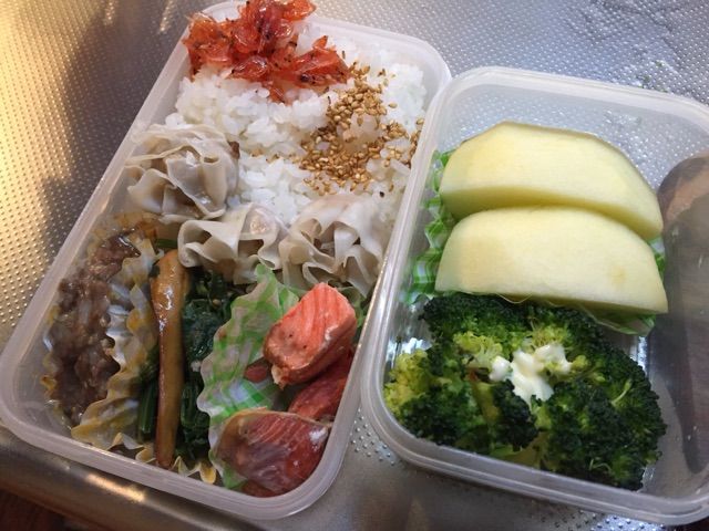 お弁当お弁当うれしいな っていう歌 ある 日々の出来事 ゴールデンレトリバーと暮らす