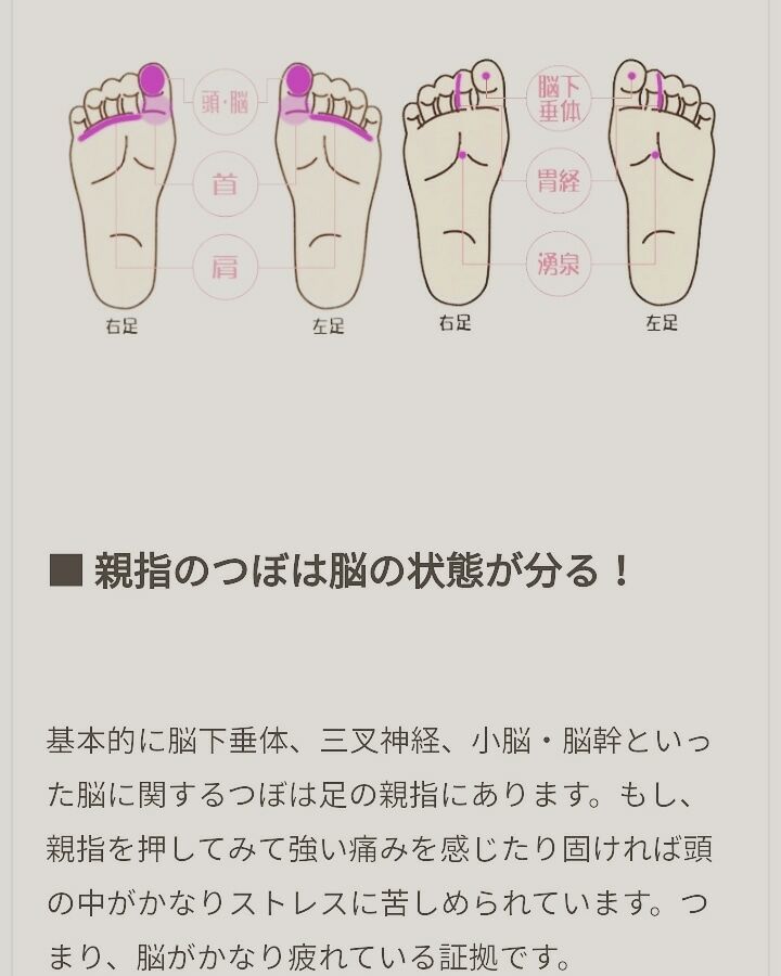足裏は第二の心臓 前進あるのみ 足裏は第二の心臓 前進あるのみ