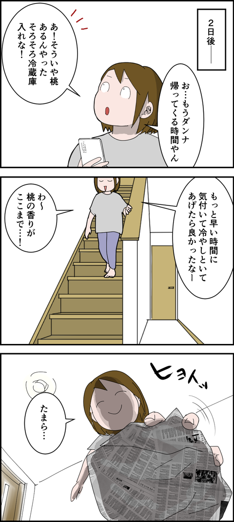 21082402