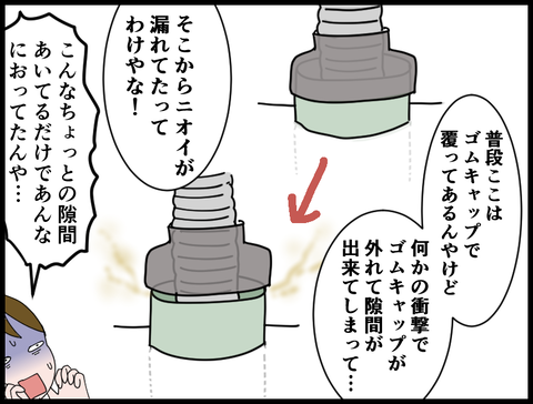 21081806