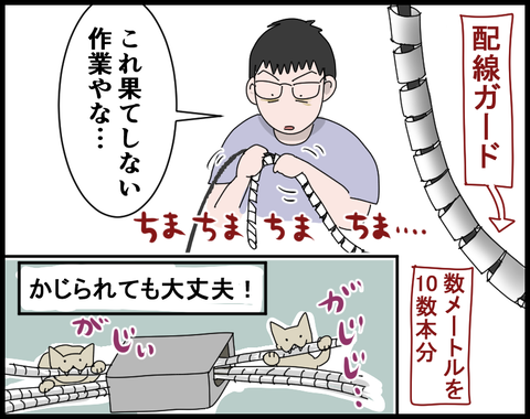 新しい子猫を迎える準備をする方法