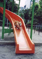 c9b200ef.jpg