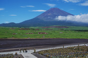 Fuji1s