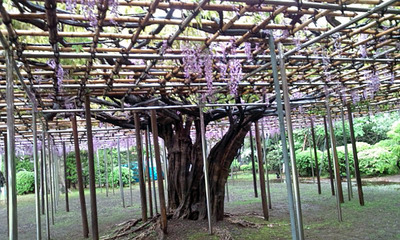 kaitoukaku3