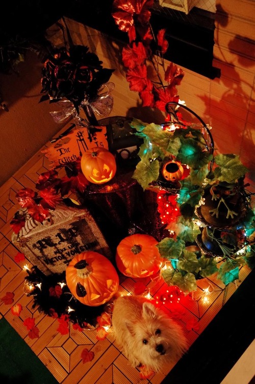 Happy Halloween