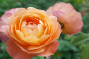 R0005840s