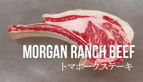 mrb133aheaderjapanese