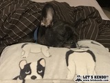 ミサワ2