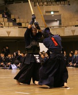 甲斐先生