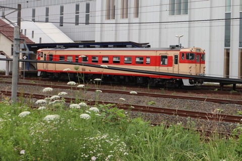 自転車 走行日記 Levante2019の旅日記