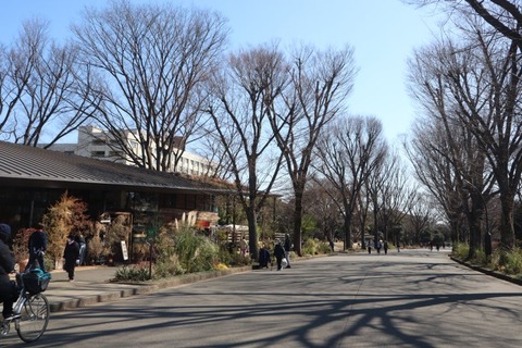 ろんぐらいだぁすの聖地巡り 駒沢大学周辺 Levante19の旅日記