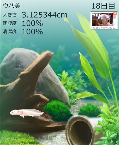 BCCDEE8F-065A-450F-9DD9-03D7A38B9ECD