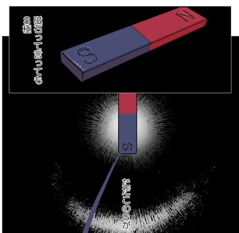 Sフラワー9
