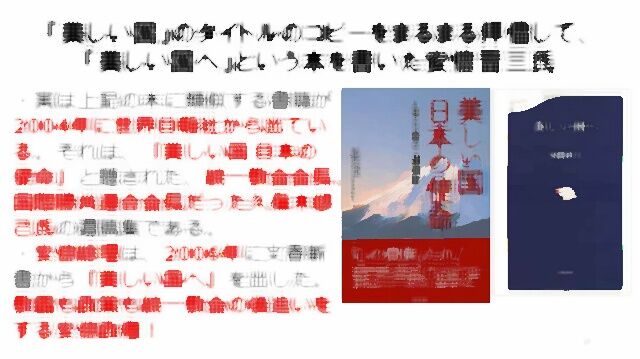 清潔で美しい国作戦