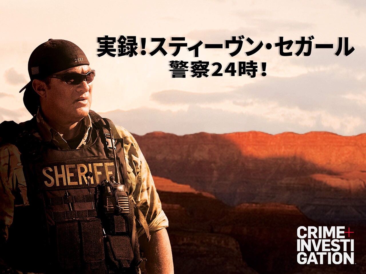 実録！スティーヴン・セガール 警察24時！ : Real Expendables
