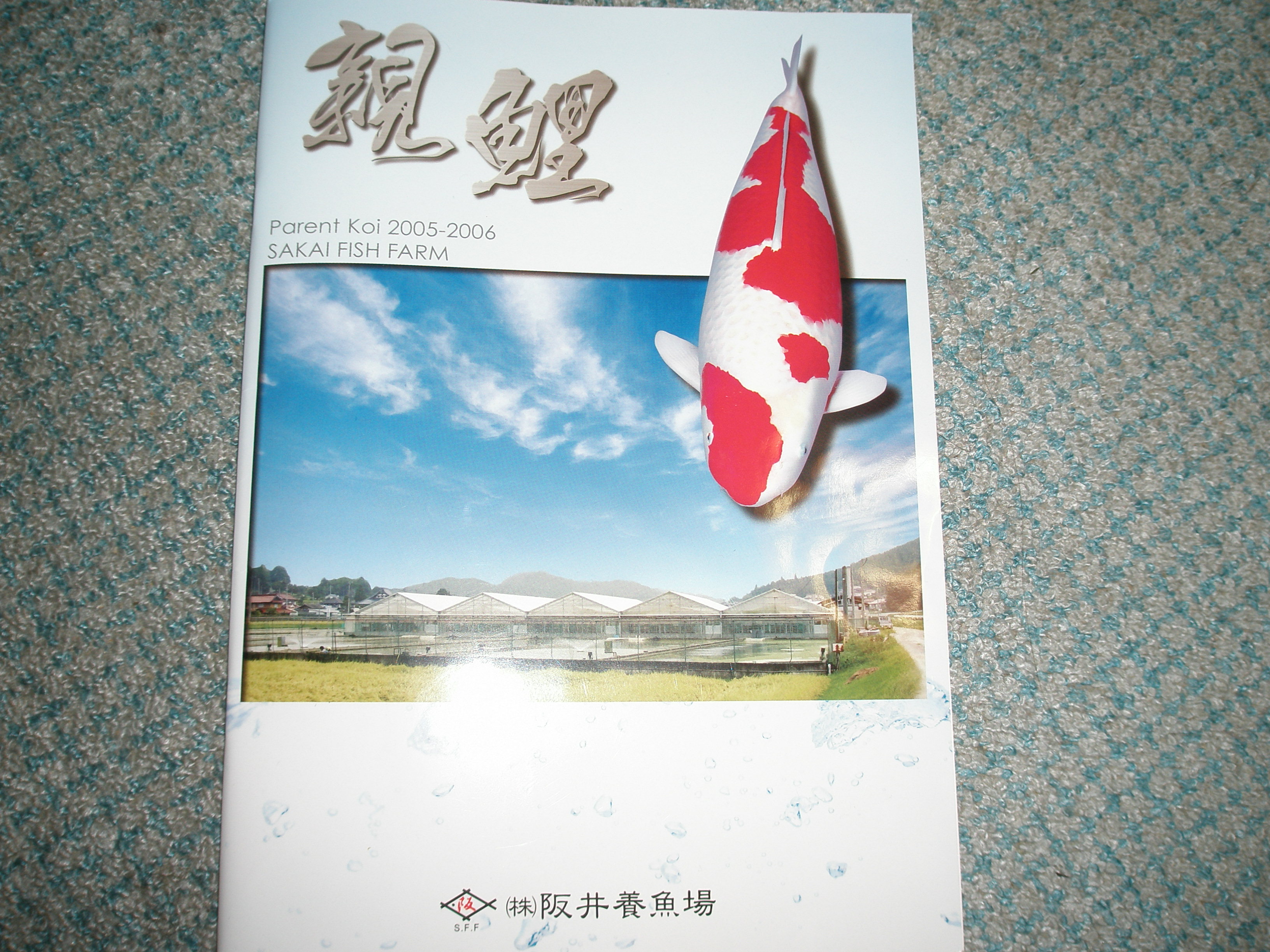 カタログ Gekkou Channel 蘭鋳堂 錦鯉の穴