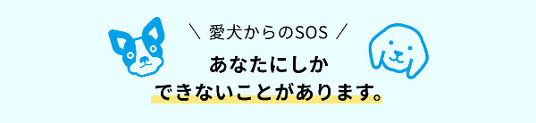 ジナース_1
