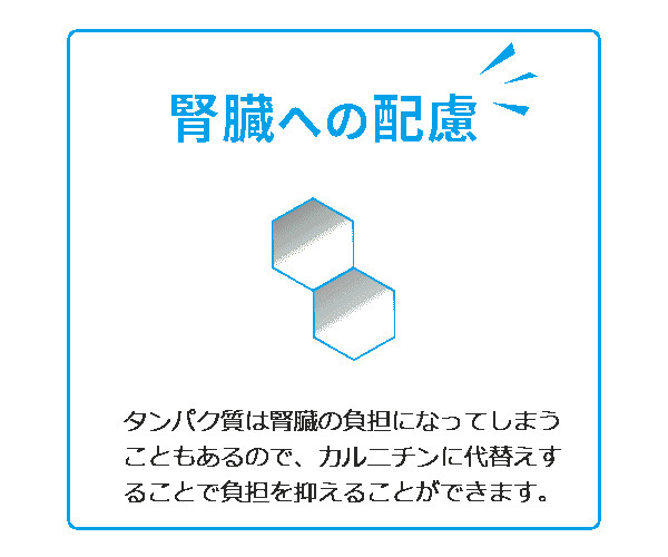 ジナース_5