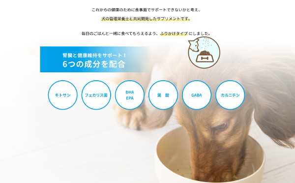 ジナース_4