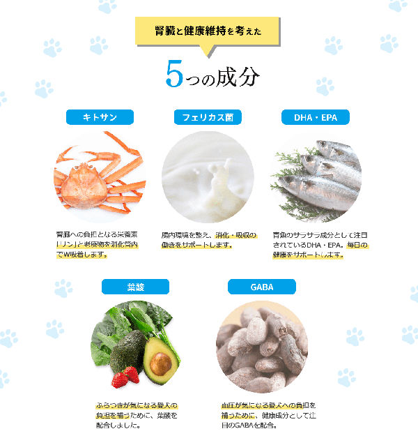 ジナース_8