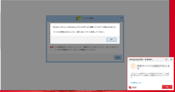 偽サイト(windows)_8