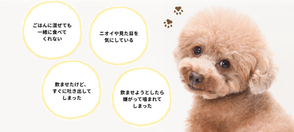 ジナース_10