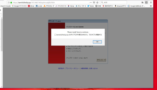 偽サイト(java)_1