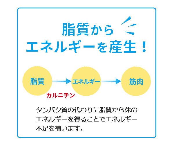 ジナース_7