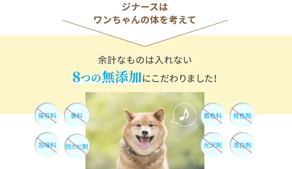 ジナース_9