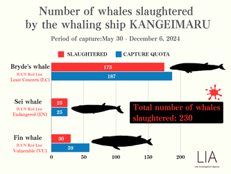 関鯨丸殺害数グラフ_20241226_212745_0001