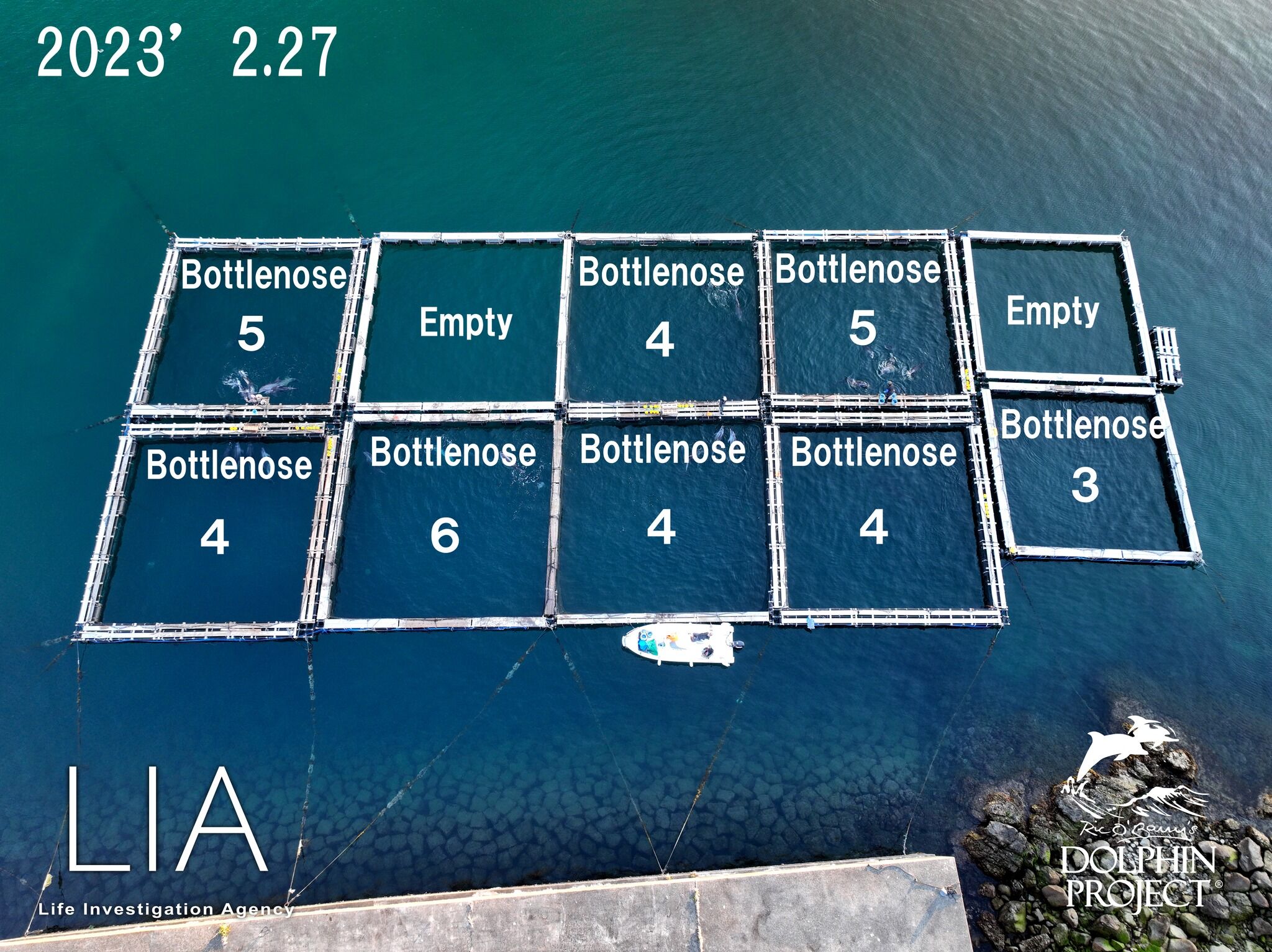 More Dolphins as Inventory! ～The reason dolphin drive hunt still ...