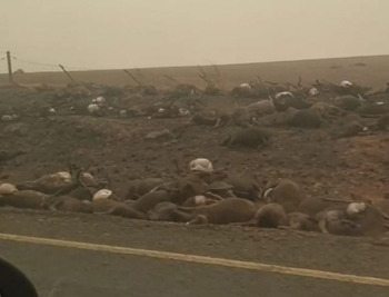 rl+Y84ZqTTNoMnCh9BzZUdLM7gL