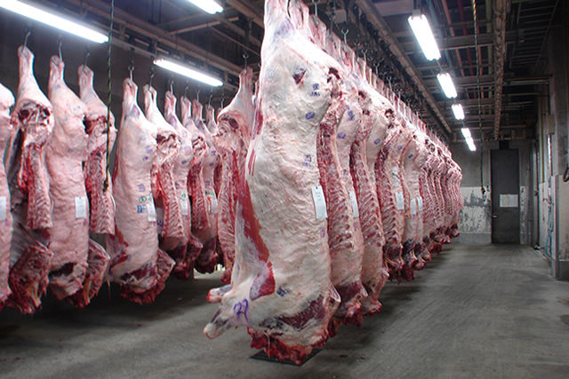 今年もまもなく皮 毛皮のハイシーズンです 革製品 毛皮製品について 初心者編 Ngo Life Investigation Agency