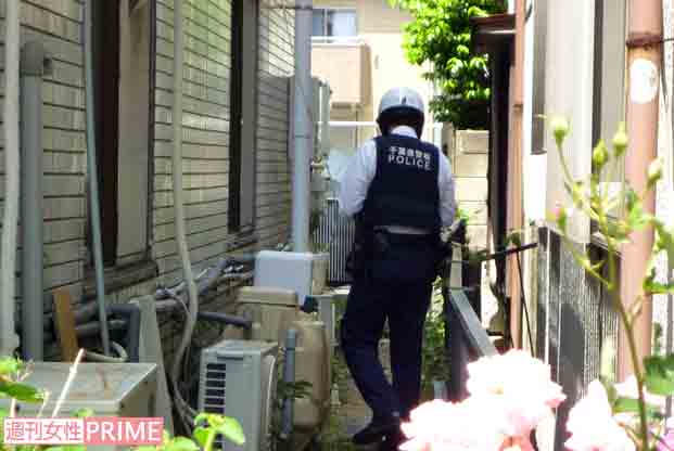 頭部切断 首に巻きついた腸 猫の残虐死体を遺棄し続ける 犯人の影を追う 転載記事 Ngo Life Investigation Agency 頭部切断 首に巻きついた腸 猫の残虐死体を遺棄し続ける 犯人の影を追う 転載記事 Ngo Life Investigation Agency