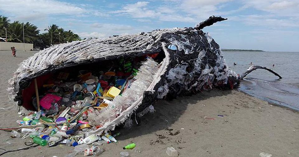 亡くなった鯨が、私達の深刻なプラスチック問題について訴えています。 NGO Life Investigation Agency