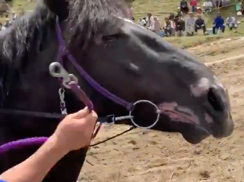 スクリーンショット 2021-12-10 17.44.08