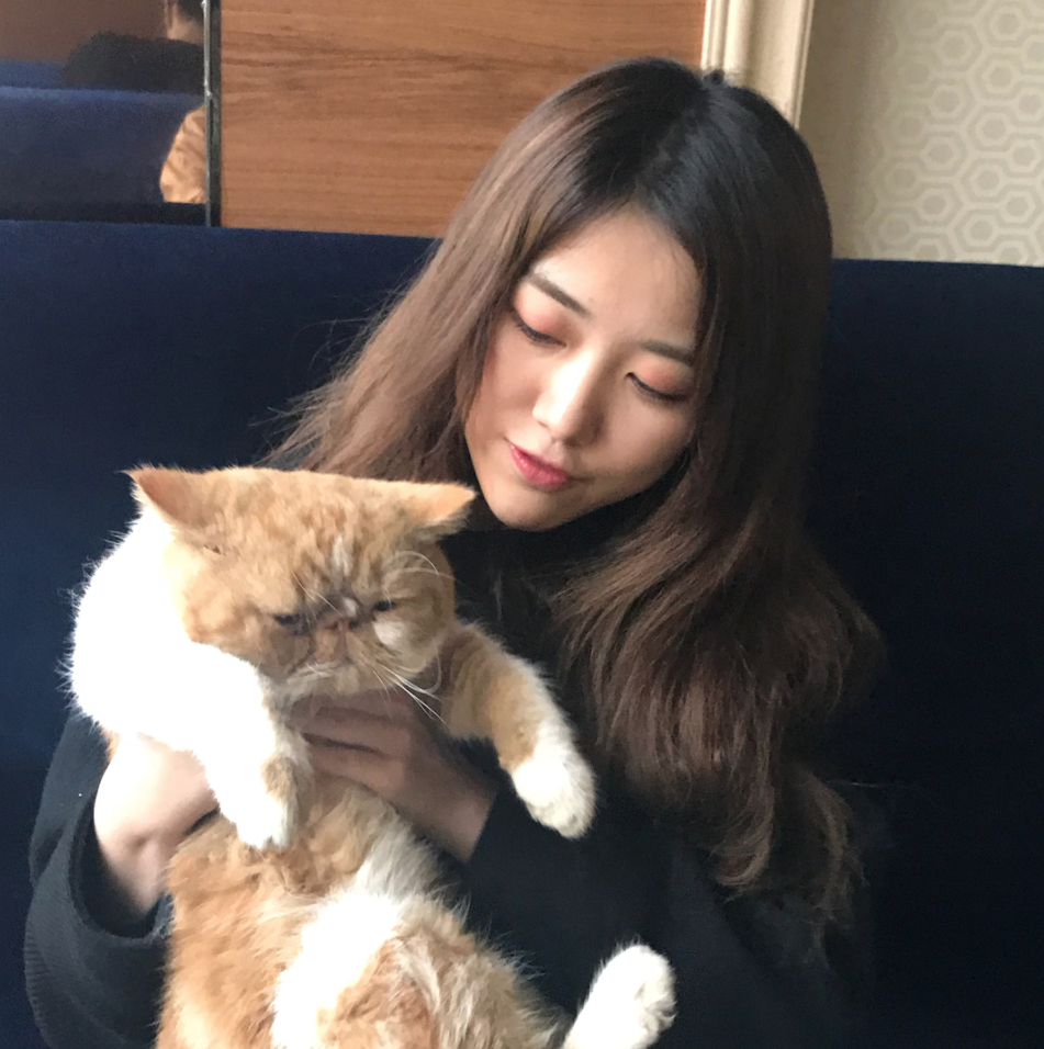王柏硕【猫と私】 : 绣眼恋樱