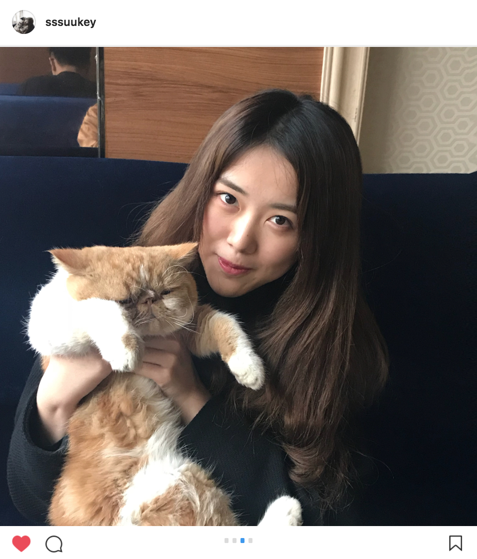 王柏硕【猫と私】 : 绣眼恋樱