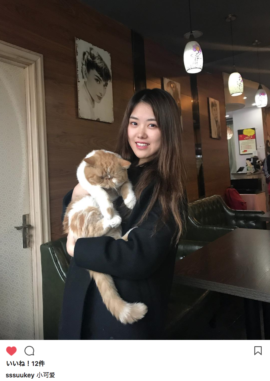 王柏硕【猫と私】 : 绣眼恋樱