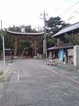 5616d4d4.jpg