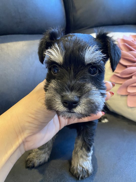 5BF1B136-F863-4CC9-8D3C-82C158001DD6