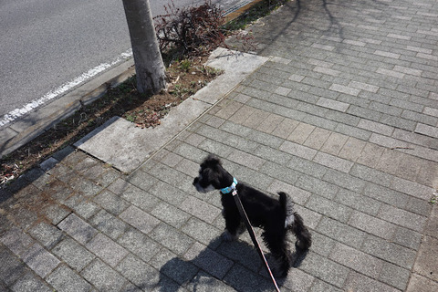 20220302124402_IMG_9661