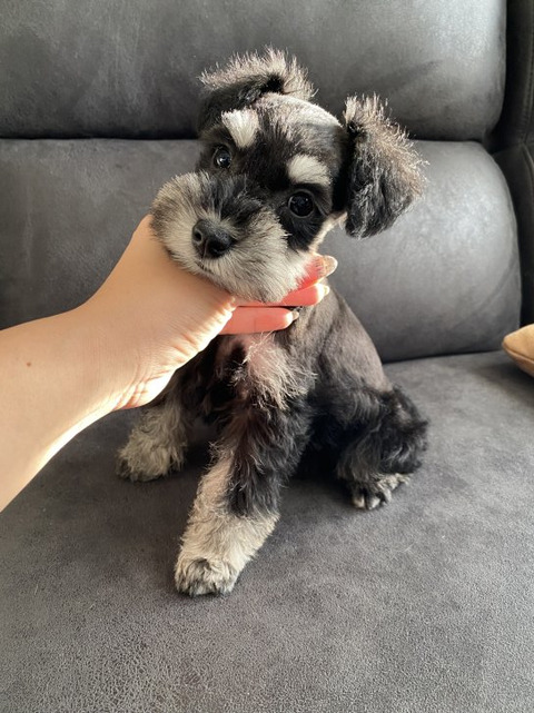 6EC02CB2-0F22-46F8-82F2-450F8594C63E