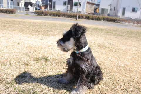 20220306122928_IMG_9724