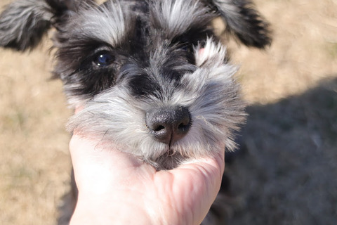 20220306123415_IMG_9729